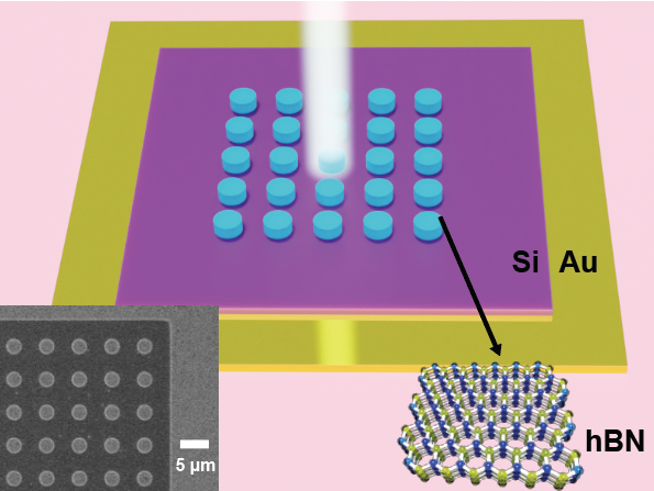 Near-Unity Light–Matter Interaction in Mid-Infrared van der Waals Metasurfaces